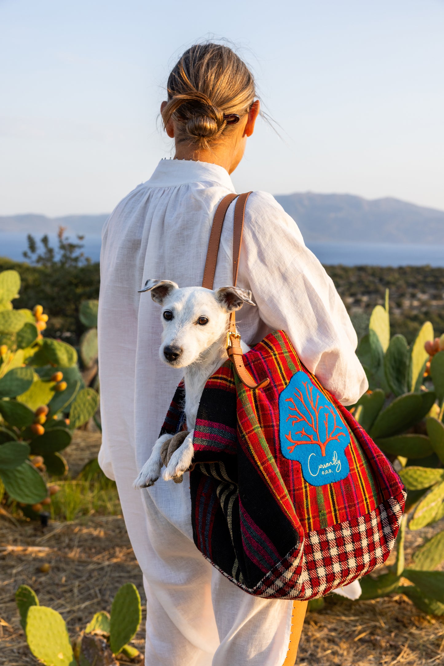 Bag Assos