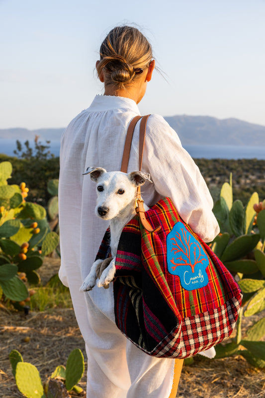 Bag Assos